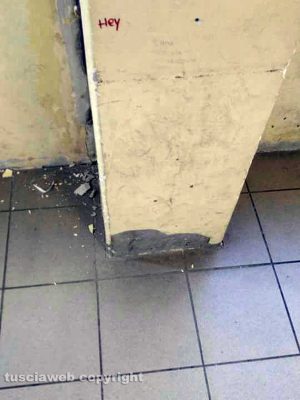 Civita Castellana - Istituto Colasanti classi dell'odontotecnico