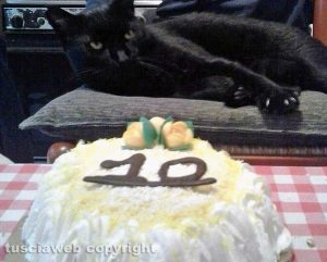 Tuscania - Il mio amico del cuore - Silvestro compie 10 anni