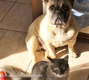 Castiglione in Teverina - Il mio amico del cuore - Ike e Sun