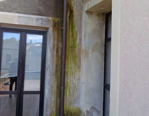 Bolsena - Infiltrazioni e umidità nel palazzo comunale