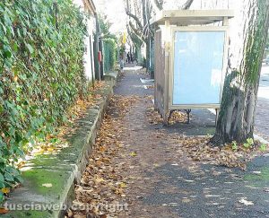 Viterbo - Il marciapiede del Pilastro pieno di foglie