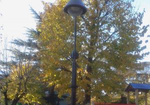 Villa San Giovanni in Tuscia - Lampioncino pericolante ai giardinetti