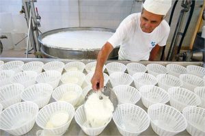 Produzione del formaggio
