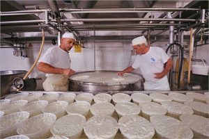 Produzione della ricotta