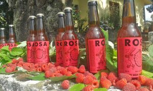 Rosa - Birra ai lamponi