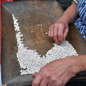 Perle della Tuscia - La selezione dei fagioli