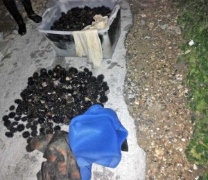I ricci sequestrati 