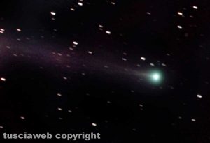 La cometa verde di Natale 2016