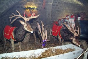 Viterbo - Caffeina Christmas Village - Le renne di Babbo Natale