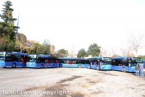 Viterbo - I nuovi mezzi Cotral schierati al Riello