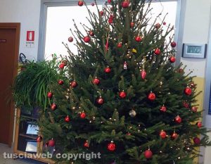 Viterbo - Albero di Natale alla scuola P. Vanni