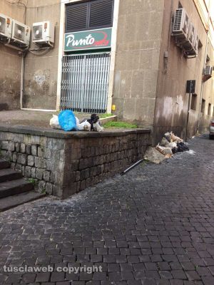 Viterbo - Rifiuti abbandonati in via Cesare Dobici