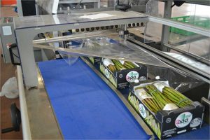 Gli asparagi di Canino