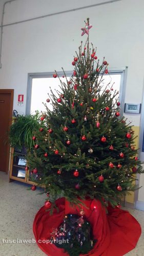 Viterbo - Albero di Natale alla scuola P. Vanni