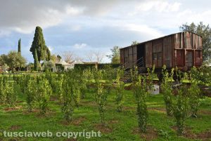 Tarquinia - Il vagone del labirinto della memoria
