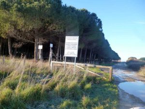 Tarquinia - Ingresso della pineta a san Giorgio-tarquinia
