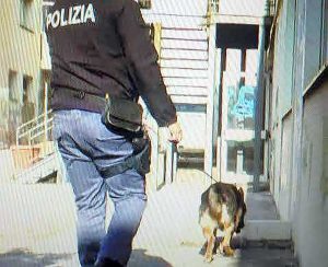 Viterbo - Controlli antidroga nelle scuole, i cani della polizia in azione
