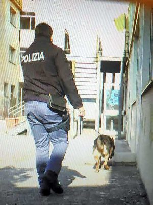 Viterbo - Controlli antidroga nelle scuole, i cani della polizia in azione