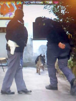 Viterbo - Controlli antidroga nelle scuole, i cani della polizia in azione