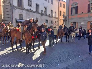 Viterbo - La benedizione degli animali in piazza del Comune