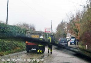 L'albero caduto a Fabrica di Roma 