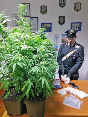 Carabinieri - La droga sequestrata 