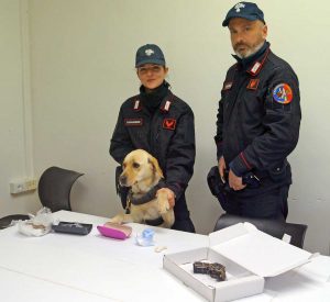 Carabinieri di Civitavecchia