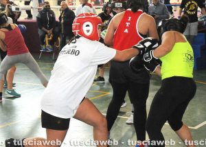 Sport - Box - Melissa Gemini