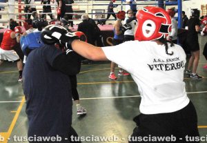 Sport - Boxe - Melissa Gemini