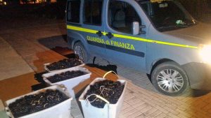Civitavecchia - Finanza - Sequestrati ricci di mare