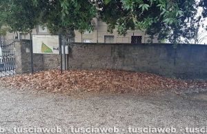 Viterbo - Pratogiardino Lucio Battisti