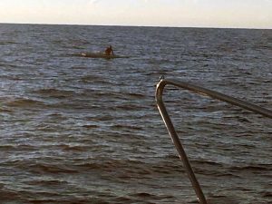 Velista disperso in mare trovato vivo
