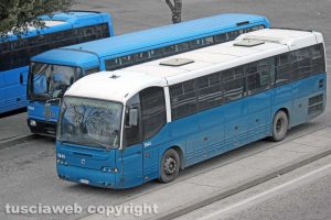 Alcuni bus Cotral a Riello