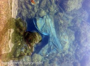 Capodimonte - Pneumatici e rifiuti nel lago