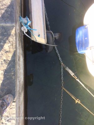 Capodimonte - Pneumatici e rifiuti nel lago