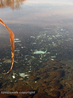 Capodimonte - Pneumatici e rifiuti nel lago