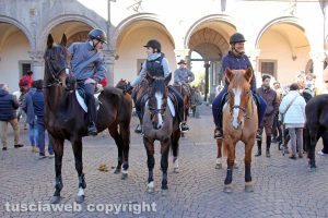 Viterbo - Sfilata di sant'Antonio - La benedizione degli animali in piazza del Comune