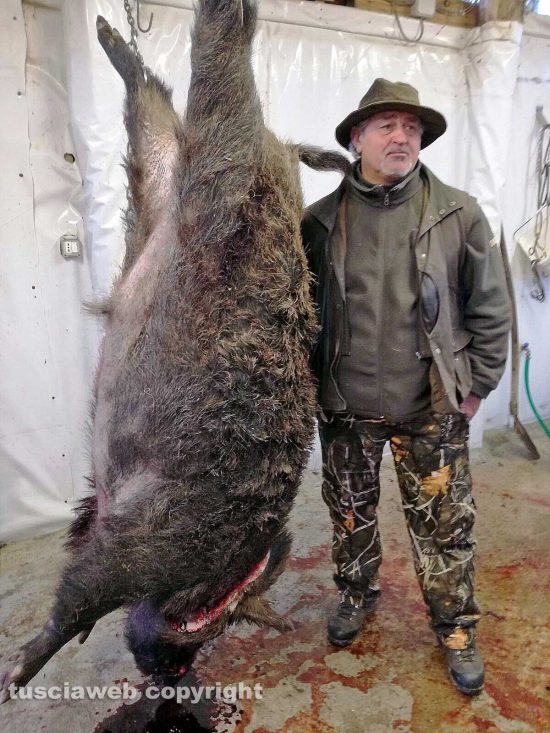 Grotte Santo Stefano - Il cacciatore Bruno Arconi uccide cinghiale di due quintali