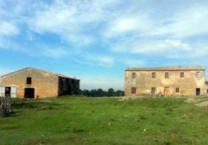 Acquapendente - Il casale dove è stato girato il film Le meraviglie