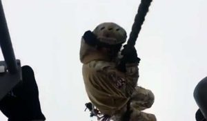 Le immagini del video diffuso da Rainews con l'operazione dei rangers