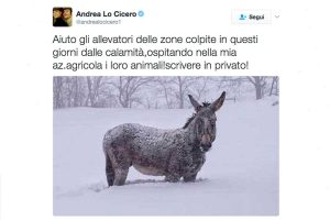 Sport - Rugby - Il tweet di Andrea Lo Cicero