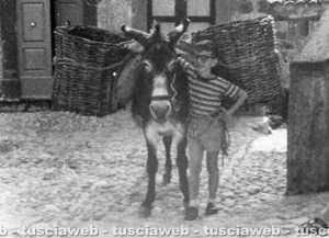 Viterbo - Come eravamo 1961 - Giuseppe Lupino e l'asina di suo padre