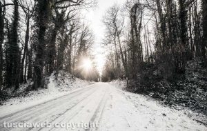 Neve sui Cimini - Sole caldo sul gelo di Poggio Nibbio...