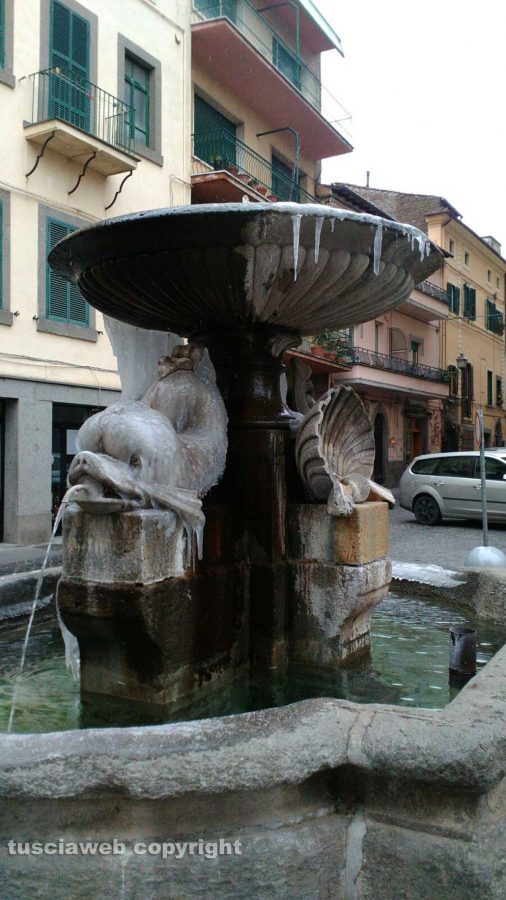 Vetralla - Fontana ghiacciataVetralla - Fontana ghiacciata