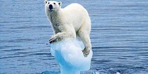Scioglimento del ghiaccio in artico