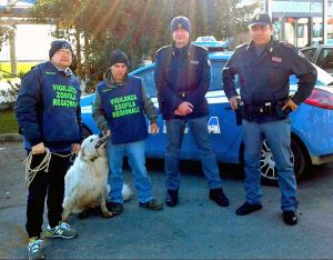 Tarquinia - Il cane salvato dalle guardie zoofile Aeopc e polizia 