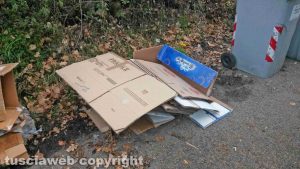 Viterbo - Rifiuti in Strada Monte Pizzo
