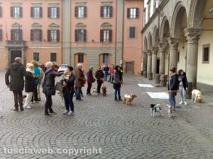 La protesta in piazza del Comune per il Parco canile