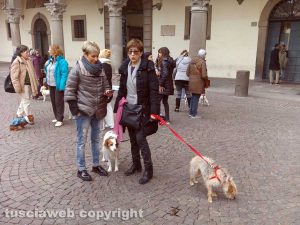 La protesta in piazza del Comune per il Parco canile