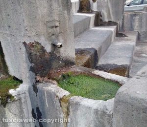 Viterbo - Melma nella fontana di piazza della Rocca